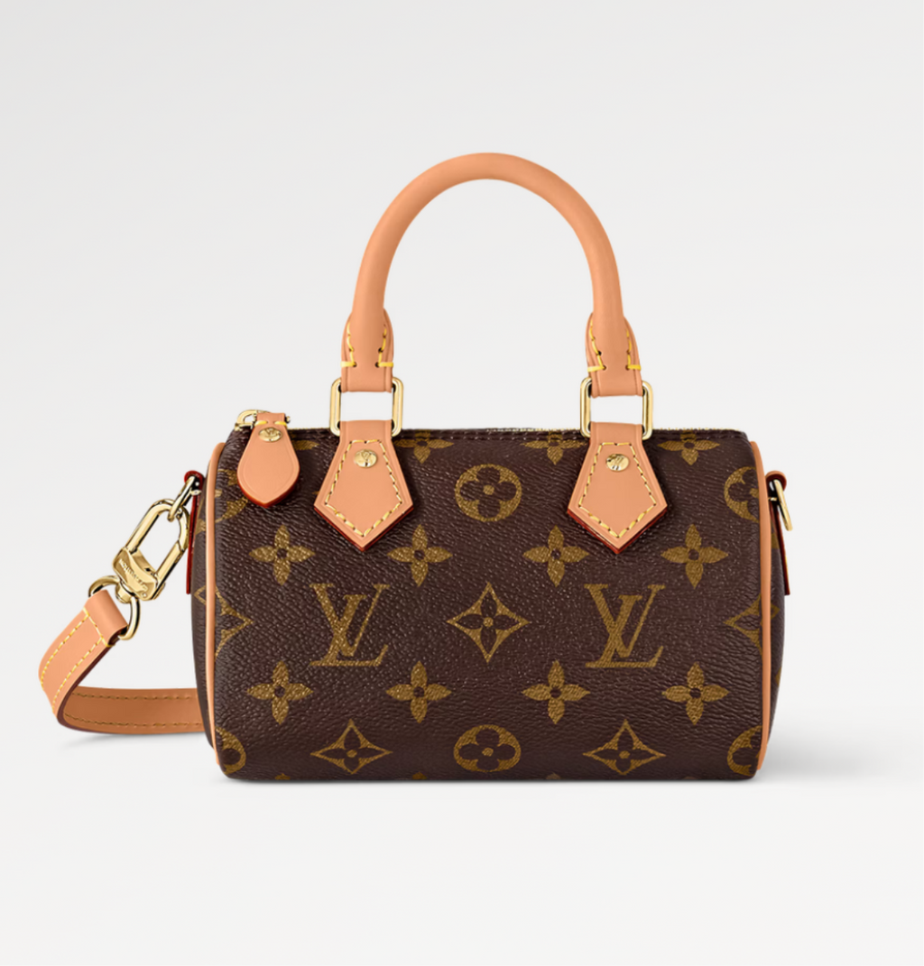 Louis Vuitton Monogram Nano Speedy Bag product image 1, provided for visual reference and product detail review