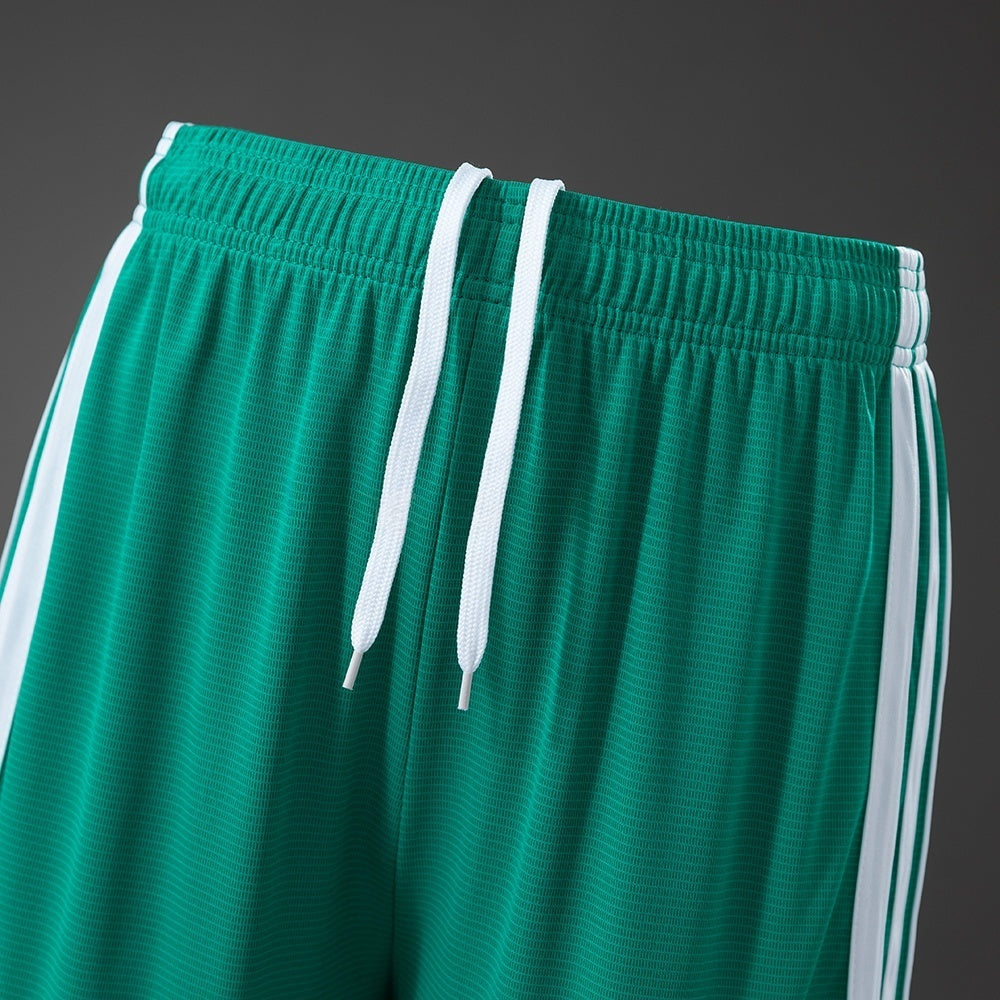 Northern Ireland Home Shorts 2026 Football Kit Soccer product image 7