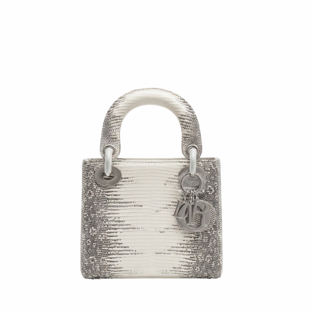 Dior Ombre Himalayan Lizard Small Shoulder Bag - White product image 1, provided for visual reference and product detail
