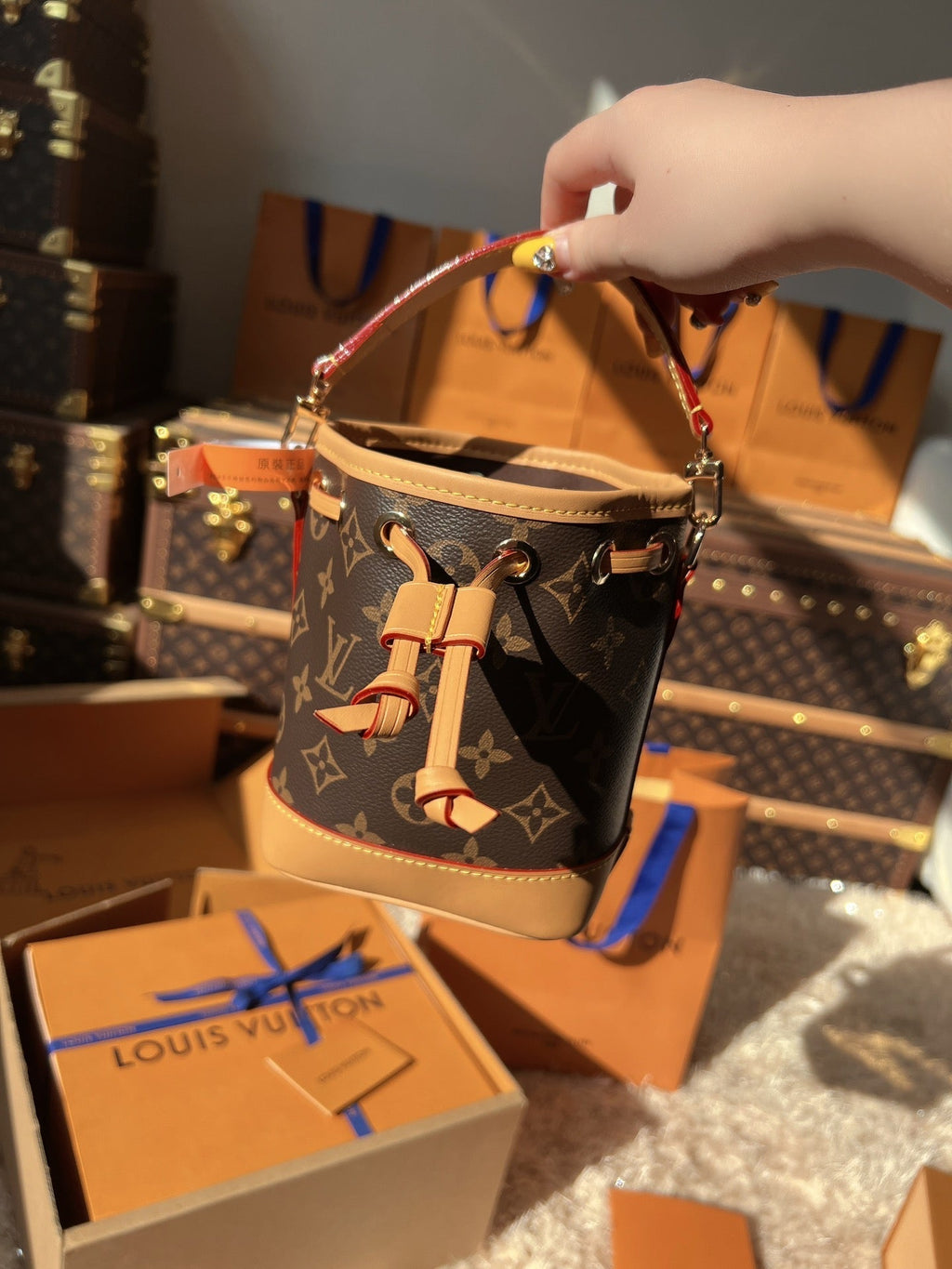 LV Nano Noé Monogram Canvas Mini Bucket Bag product image 1, provided for visual reference and product detail review