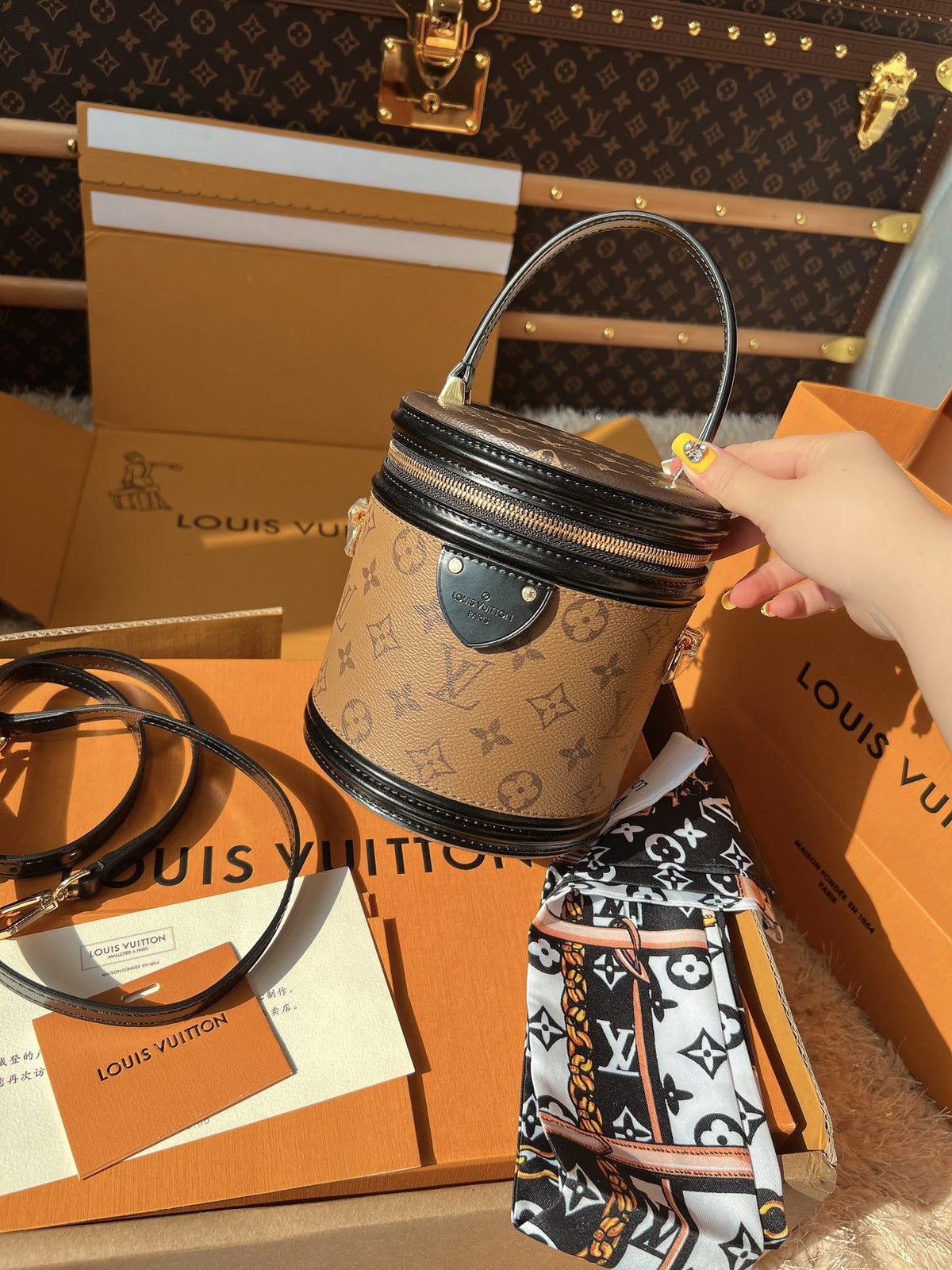 LV Cannes Monogram Reverse Canvas Round Top Handle Bag with Leather Trim and Shoulder Strap product image 2, provided for