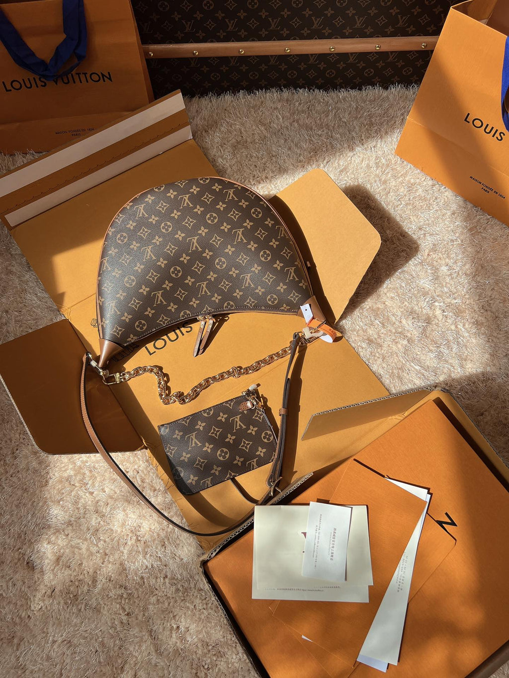 LV Loop Monogram Canvas Hobo Shoulder Crossbody Bag with Chain Detail product image 3, provided for visual reference and