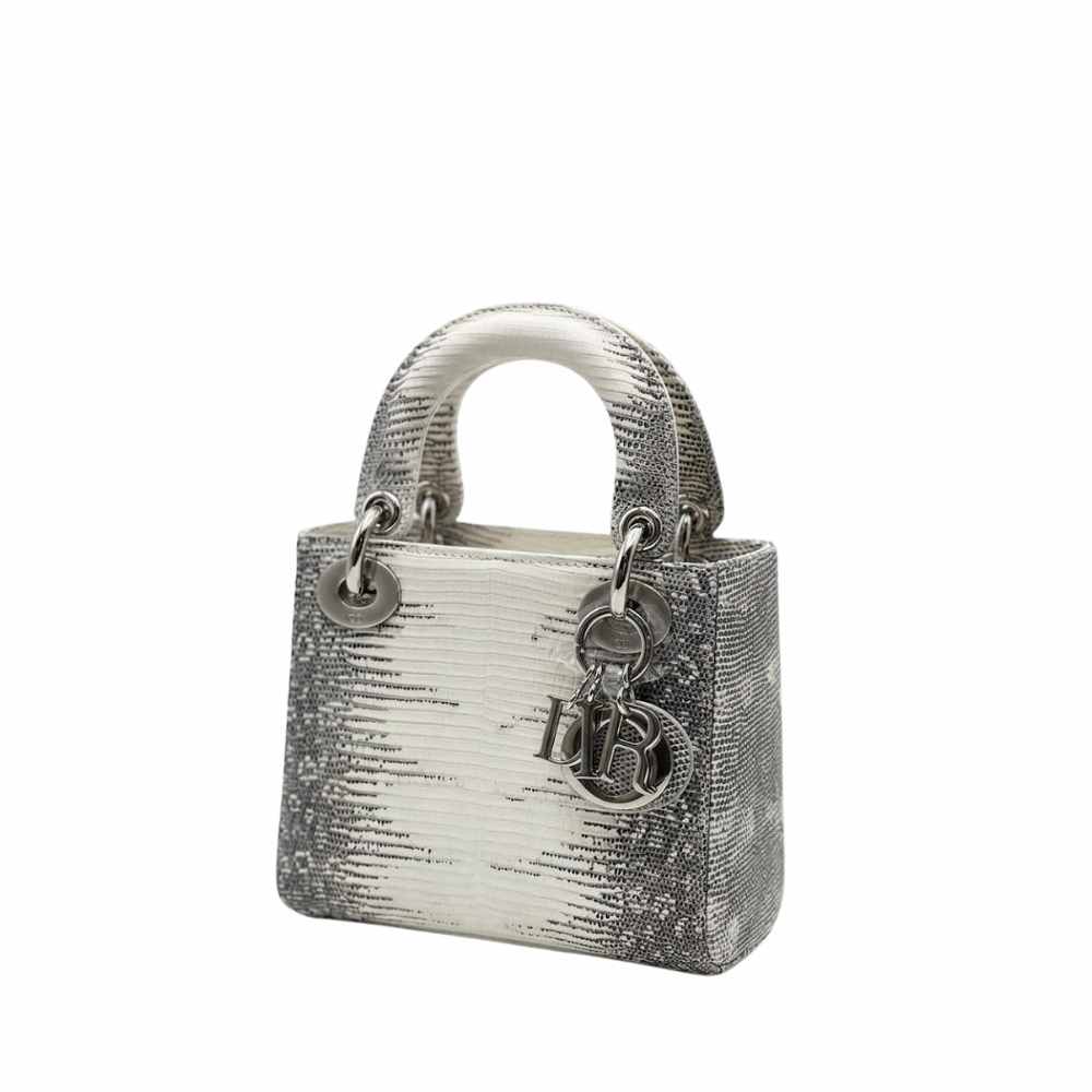 Dior Ombre Himalayan Lizard Small Shoulder Bag - White product image 2, provided for visual reference and product detail