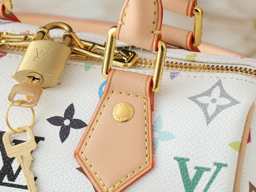 Louis Vuitton LV Speedy Bandouliere 20 Handbag product image 15, provided for visual reference and product detail review