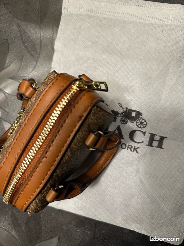 Coach Mini Rowan Charm Bag product image 3, provided for visual reference and product detail review