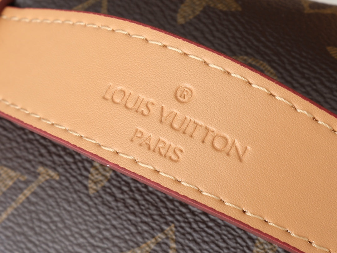 LV Rush Bumbag Monogram product image 16, provided for visual reference and product detail review