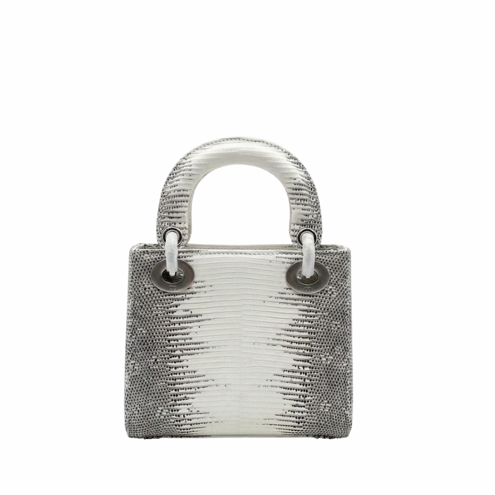 Dior Ombre Himalayan Lizard Small Shoulder Bag - White product image 3, provided for visual reference and product detail