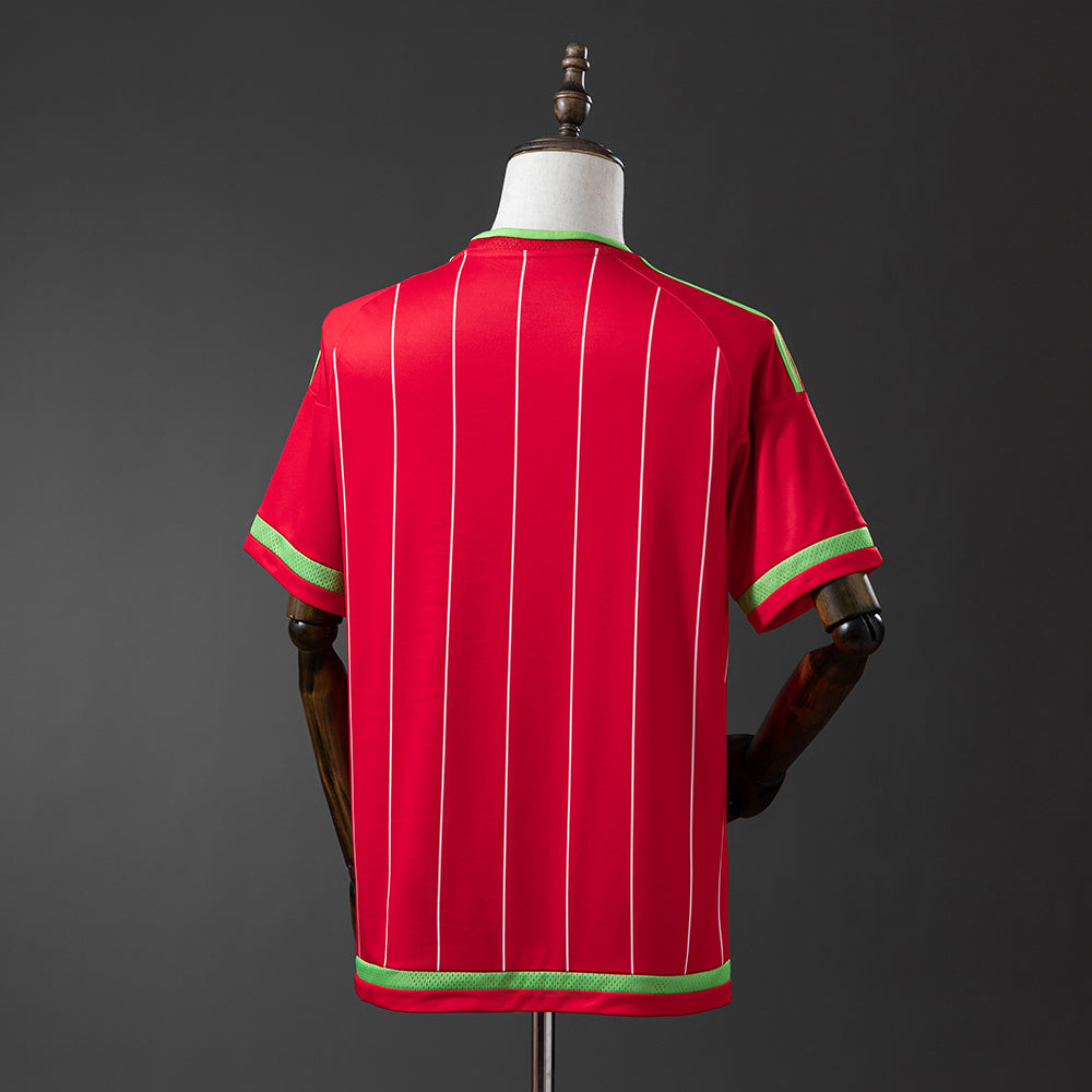 Wales Jersey 2015 Home Retro Football Kit product image 2
