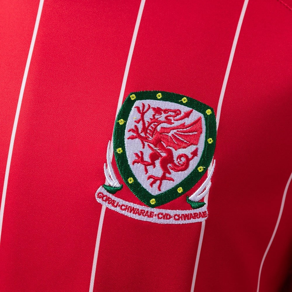 Wales Jersey 2015 Home Retro Football Kit product image 5