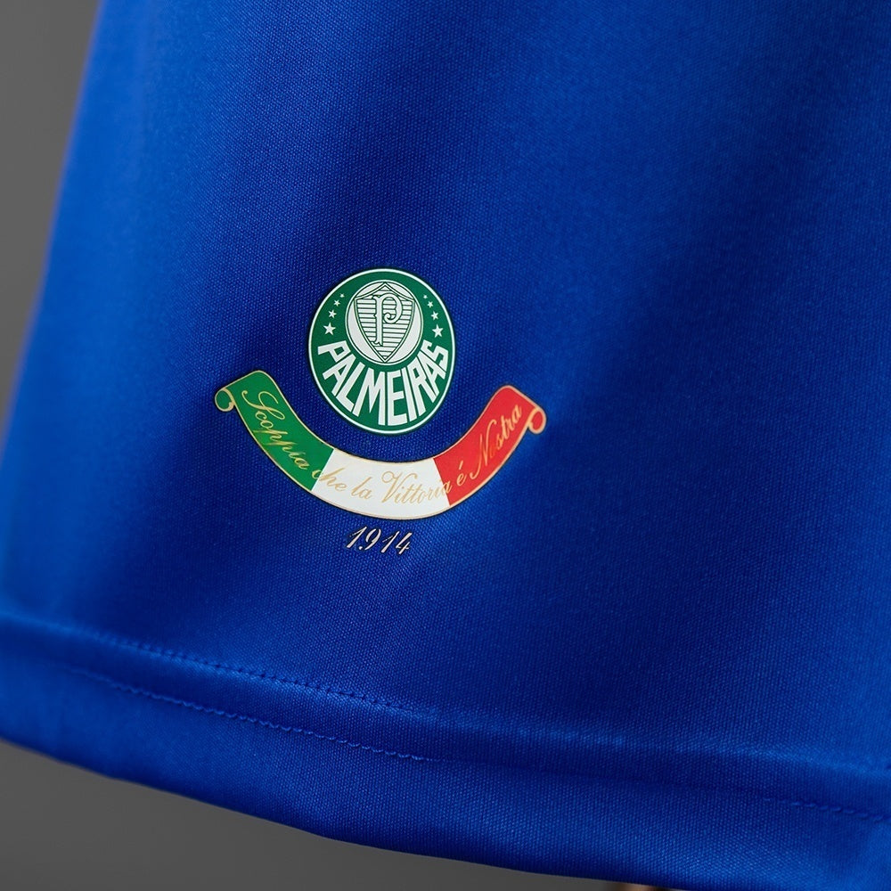 Palmeiras Third Jersey 2009-2010 Retro Football Kit Soccer product image 3