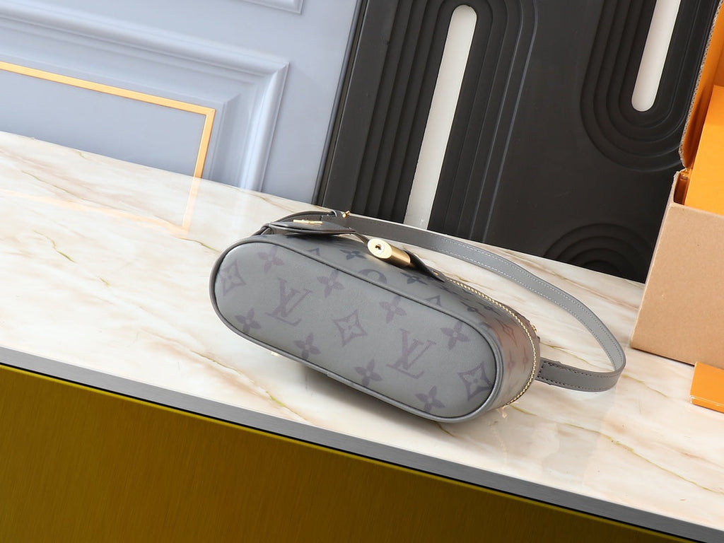 Louis Vuitton LV Vanity Chain Pouch Shoulder Bag - Gray product image 4, provided for visual reference and product detail