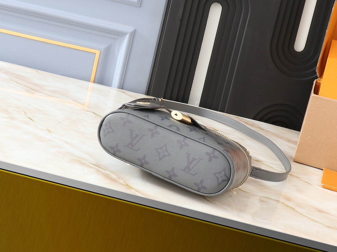Louis Vuitton LV Vanity Chain Pouch Shoulder Bag - Gray product image 4, provided for visual reference and product detail