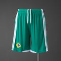 Northern Ireland Home Shorts 2026 Football Kit Soccer product image 1
