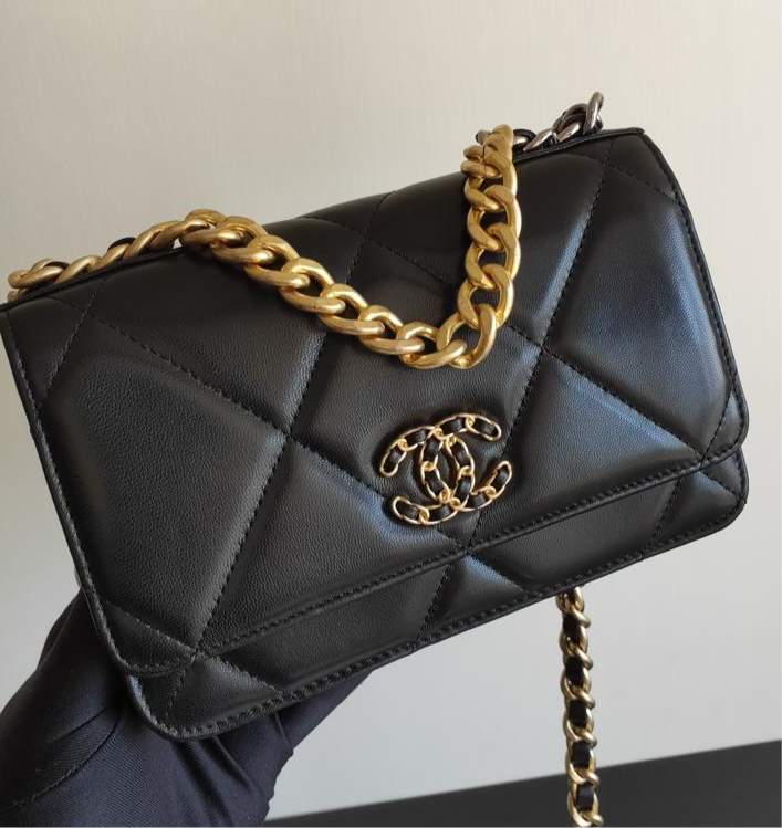 Chanel 19 Wallet On Chain WOC Bag product image 2, provided for visual reference and product detail review