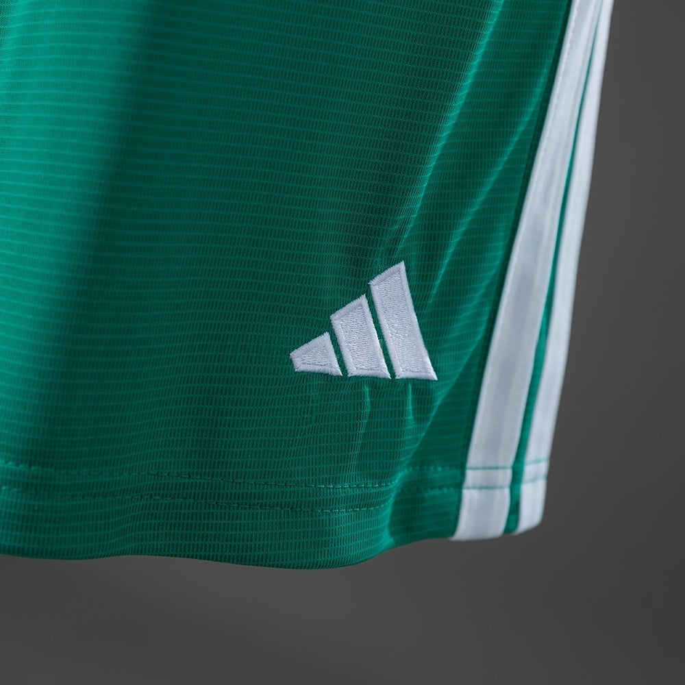 Northern Ireland Home Shorts 2026 Football Kit Soccer product image 3