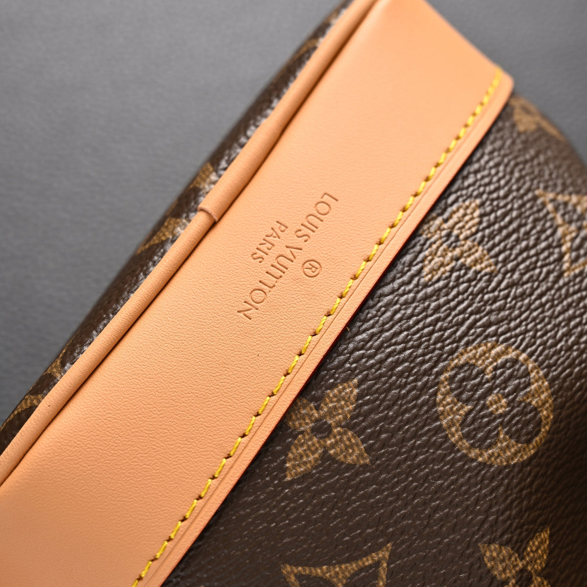 Louis Vuitton Noé Bucket Bag – Monogram Canvas with Natural Leather Trim product image 10, provided for visual reference and