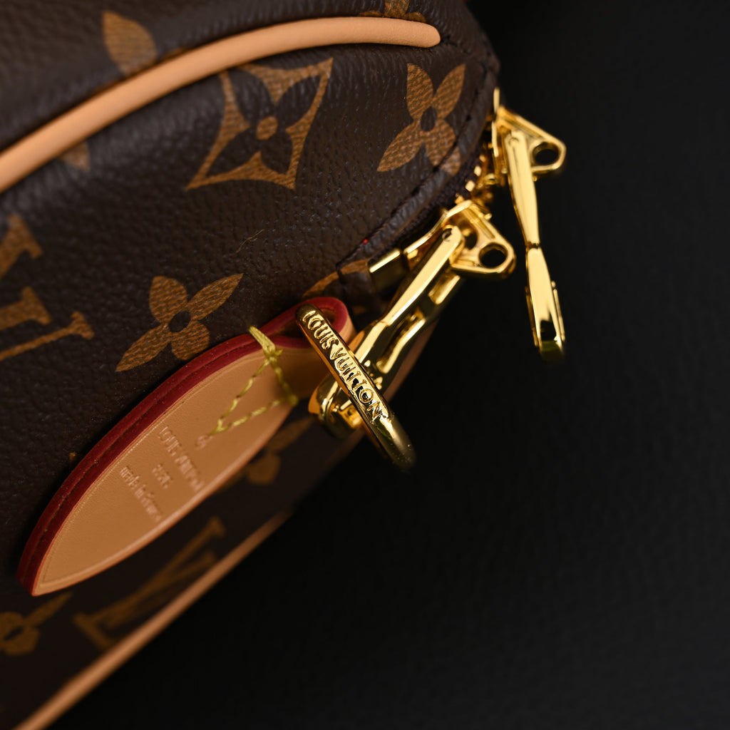 Louis Vuitton Speedy Bandoulière 25 Monogram Canvas Handbag product image 2, provided for visual reference and product