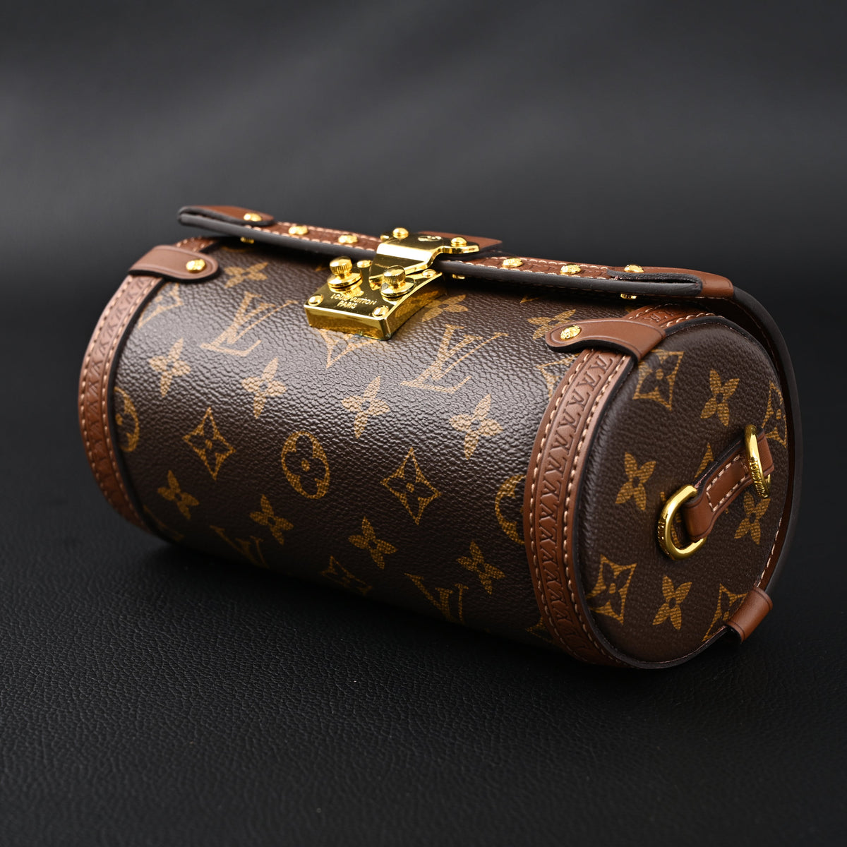 Louis Vuitton Cannes Monogram Canvas Bag product image 15, provided for visual reference and product detail review