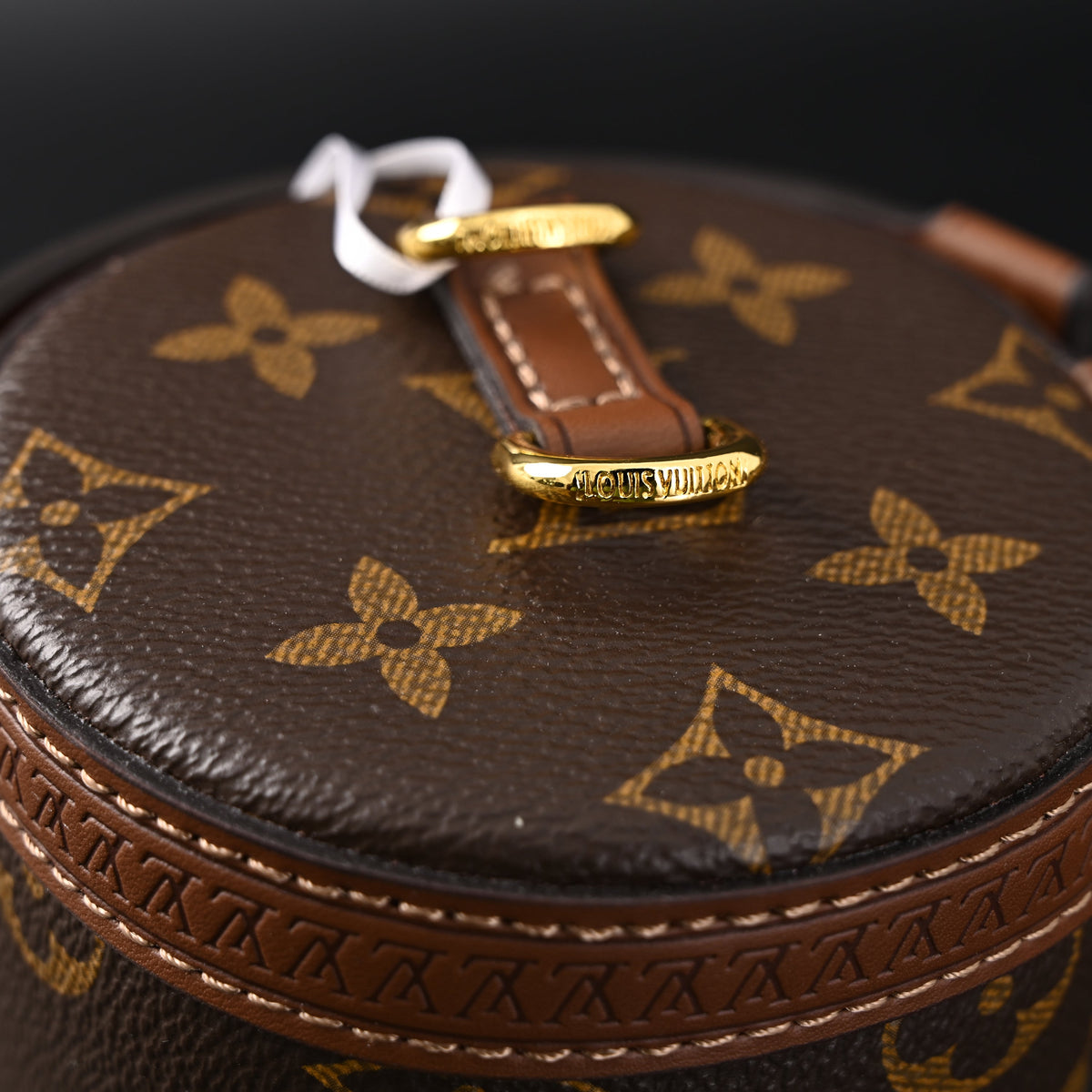 Louis Vuitton Cannes Monogram Canvas Bag product image 20, provided for visual reference and product detail review