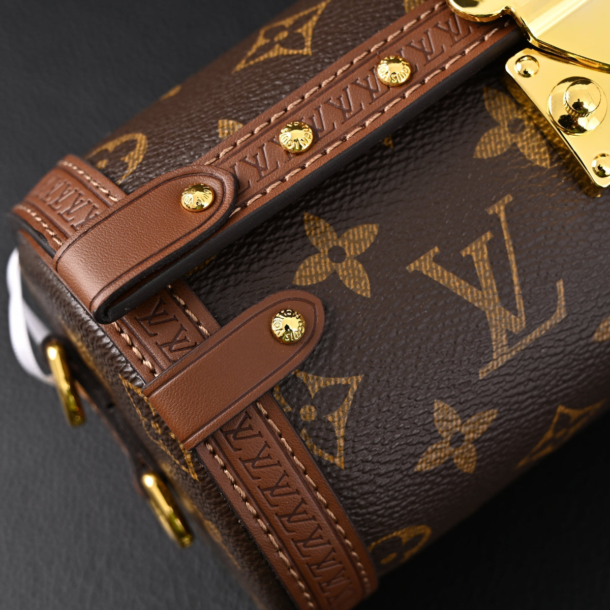 Louis Vuitton Cannes Monogram Canvas Bag product image 3, provided for visual reference and product detail review