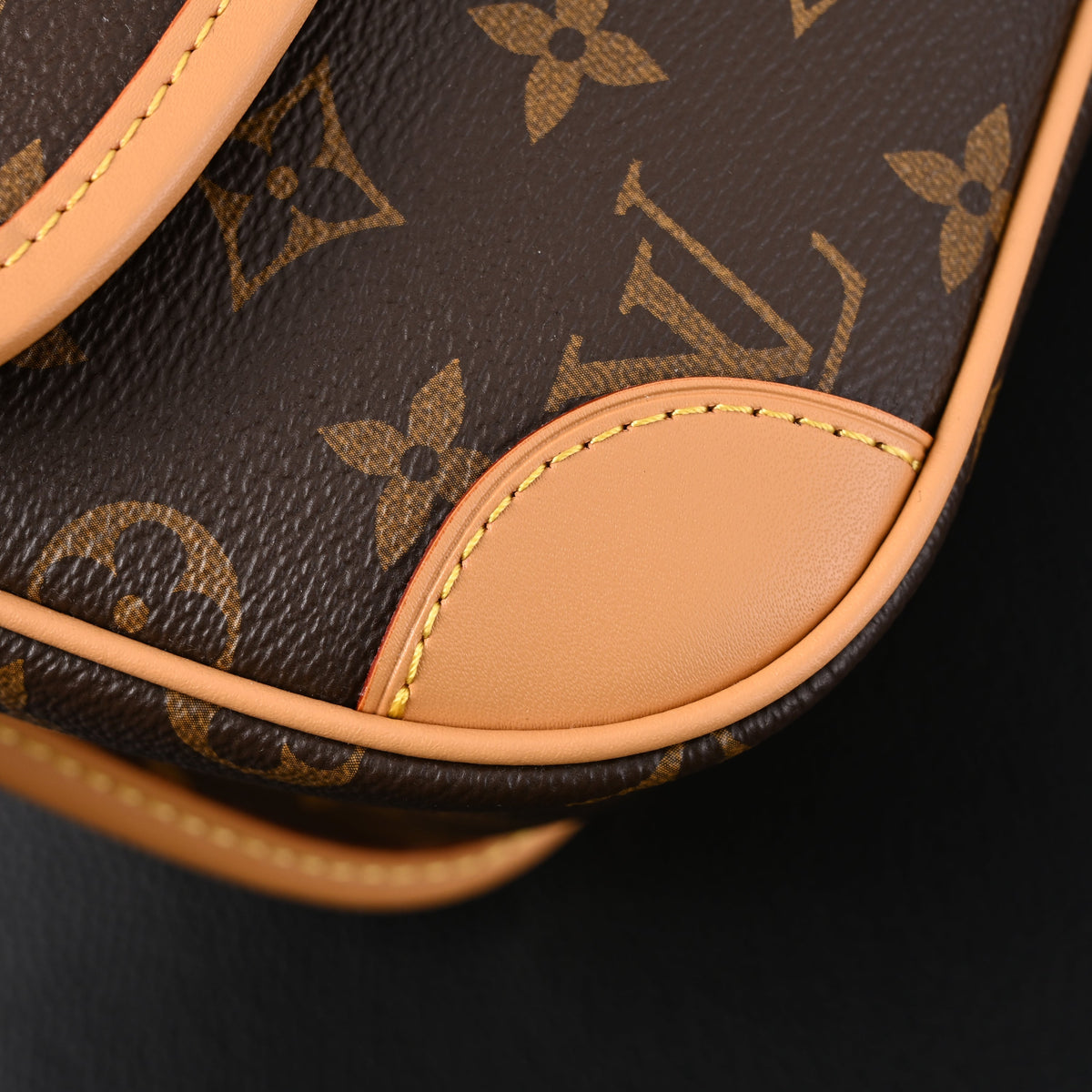 Louis Vuitton Croissant Bag Monogram Canvas product image 20, provided for visual reference and product detail review