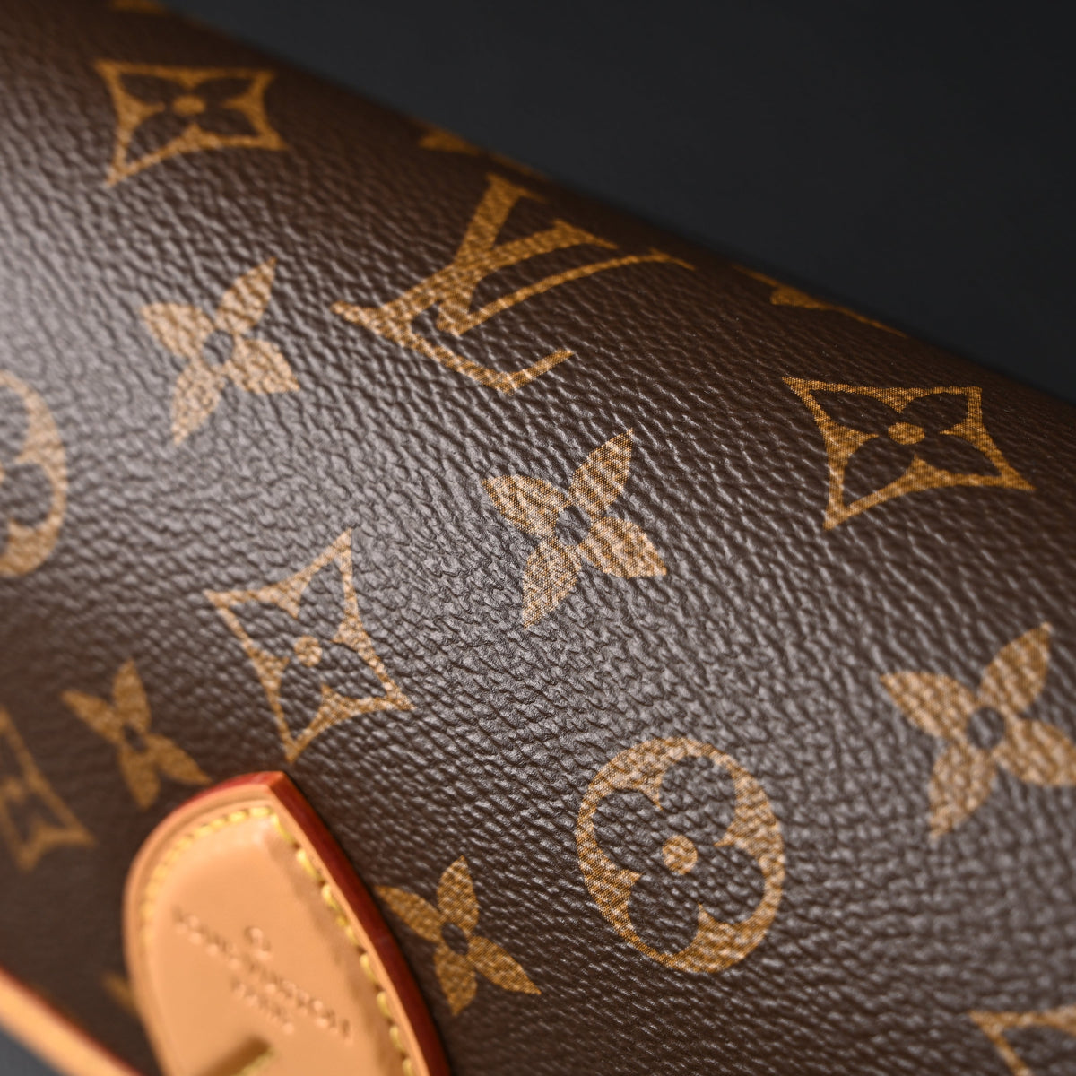Louis Vuitton Croissant Bag Monogram Canvas product image 5, provided for visual reference and product detail review