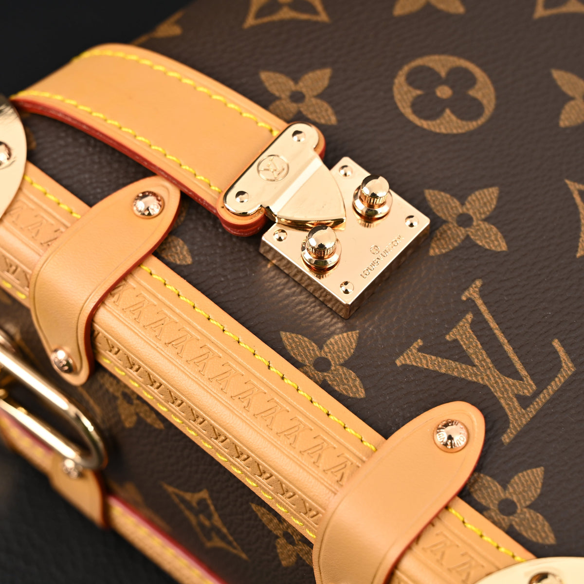 Louis Vuitton Cannes Trunk Bag – Monogram Canvas with Gold-Tone Hardware product image 15, provided for visual reference and