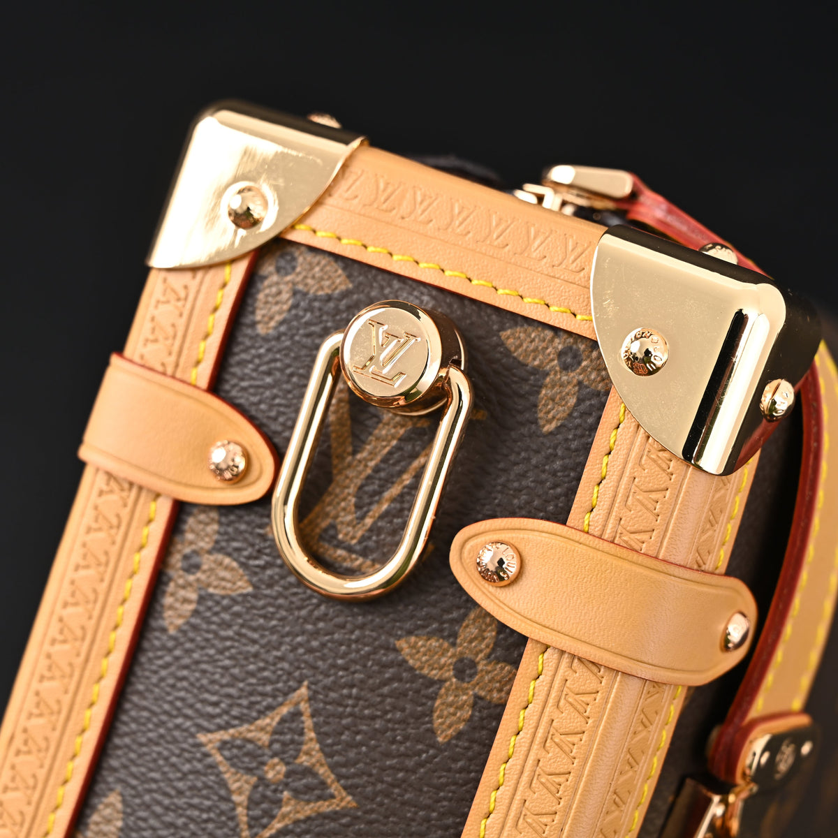Louis Vuitton Cannes Trunk Bag – Monogram Canvas with Gold-Tone Hardware product image 12, provided for visual reference and