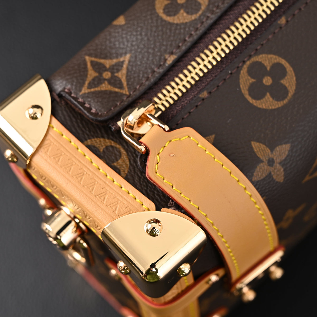 Louis Vuitton Cannes Trunk Bag – Monogram Canvas with Gold-Tone Hardware product image 16, provided for visual reference and