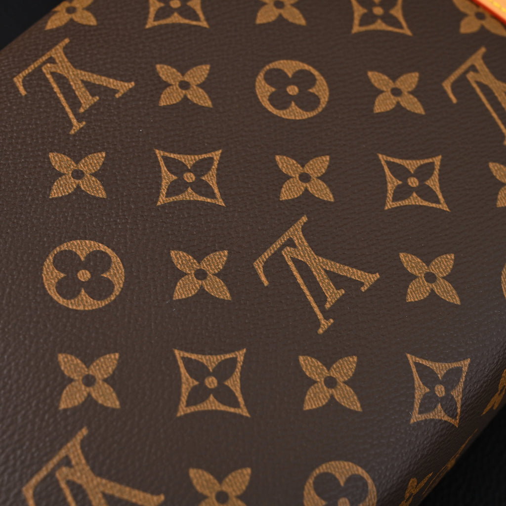 Louis Vuitton Cannes Trunk Bag – Monogram Canvas with Gold-Tone Hardware product image 7, provided for visual reference and