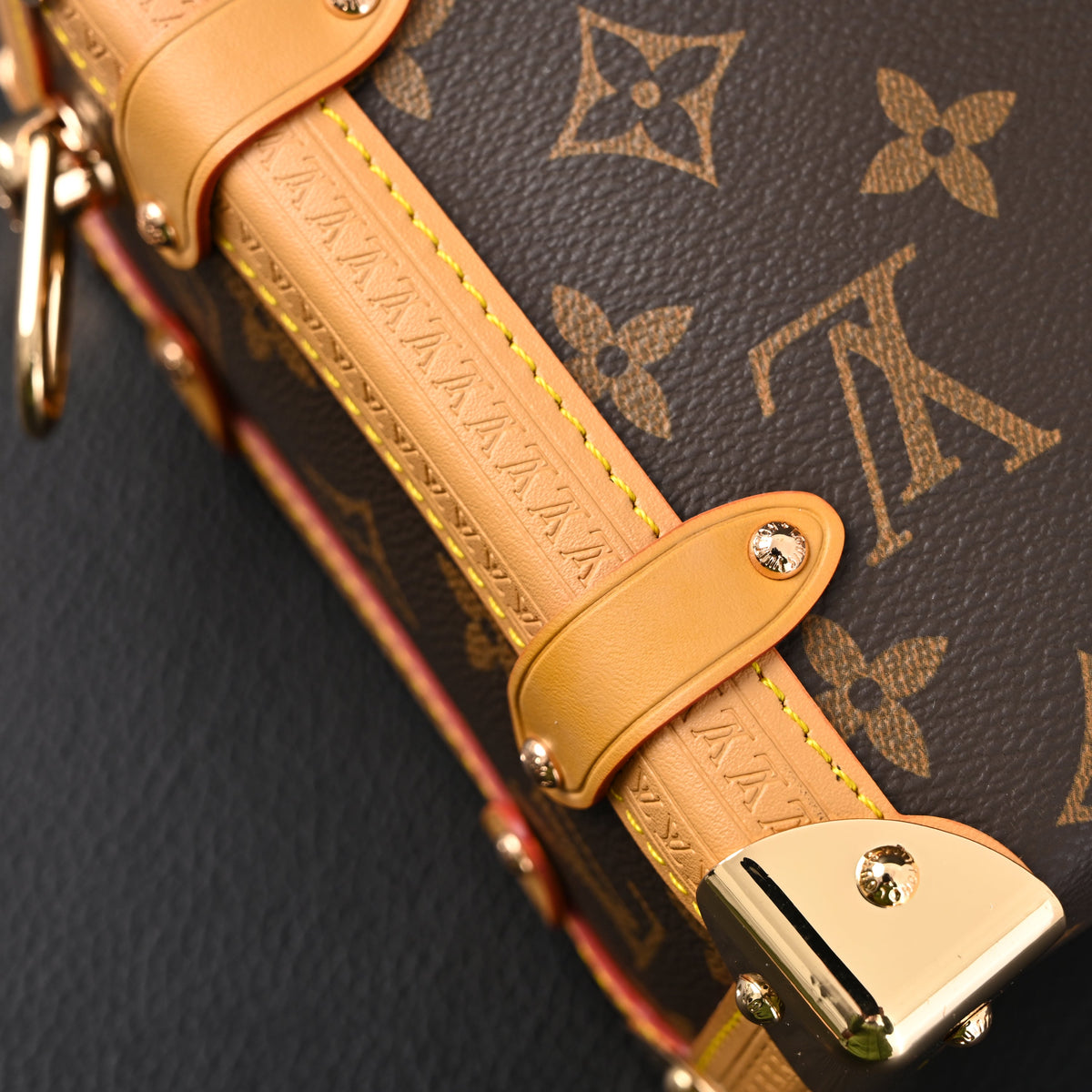 Louis Vuitton Cannes Trunk Bag – Monogram Canvas with Gold-Tone Hardware product image 19, provided for visual reference and