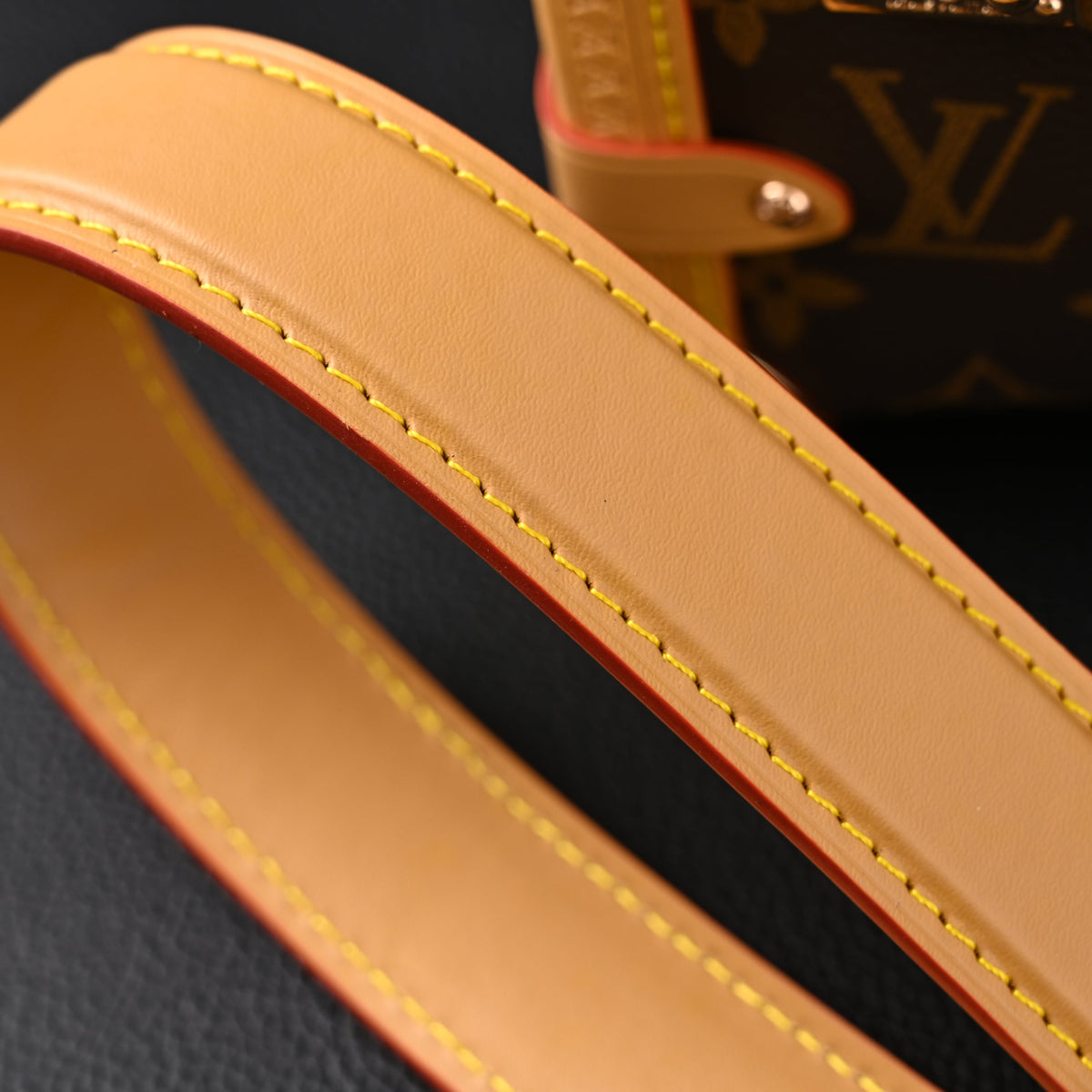 Louis Vuitton Cannes Trunk Bag – Monogram Canvas with Gold-Tone Hardware product image 4, provided for visual reference and