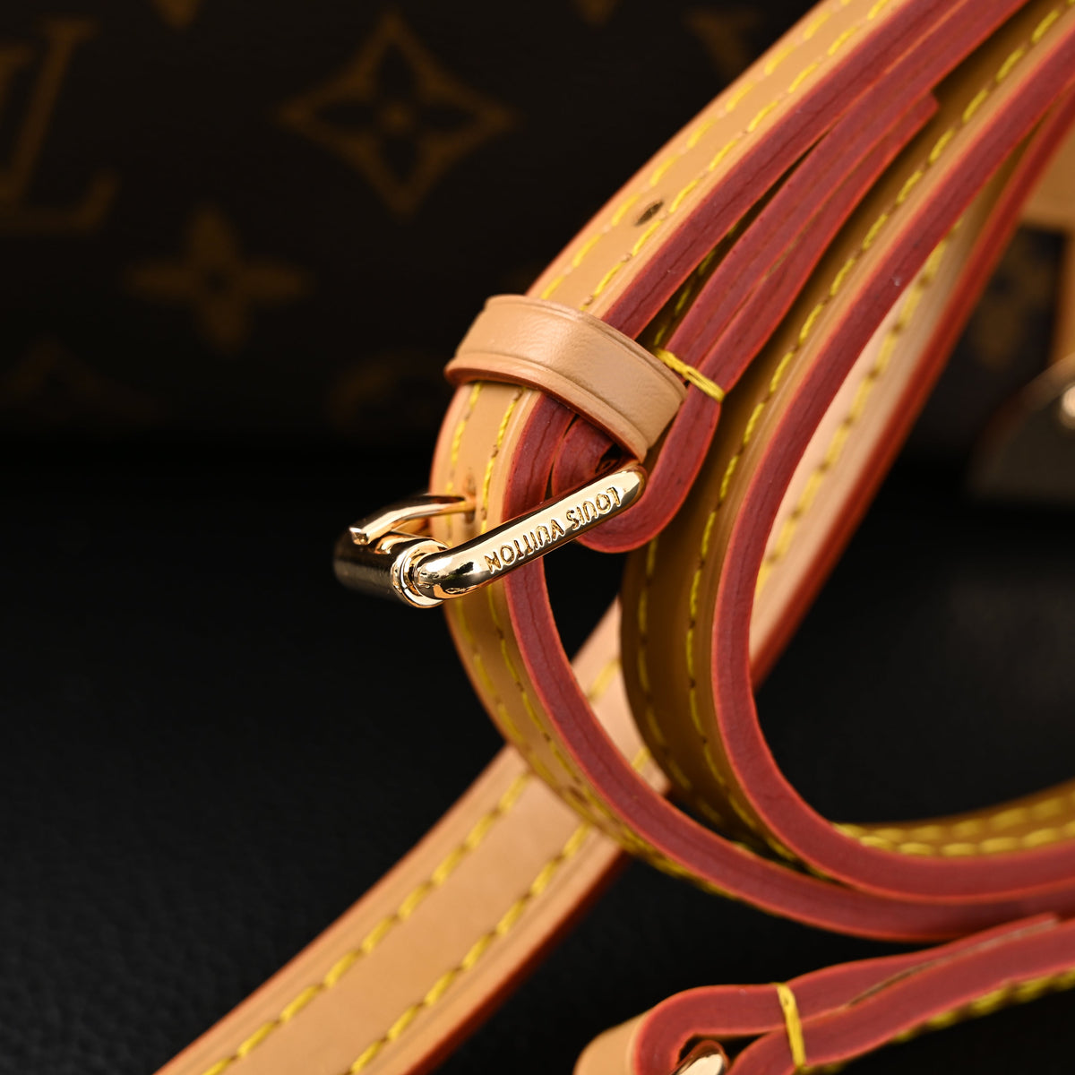 Louis Vuitton Cannes Trunk Bag – Monogram Canvas with Gold-Tone Hardware product image 8, provided for visual reference and