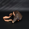 Louis Vuitton Bumbag – Monogram Canvas Waist & Crossbody Bag product image 1, provided for visual reference and product