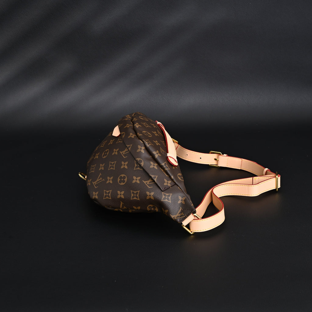 Louis Vuitton Bumbag – Monogram Canvas Waist & Crossbody Bag product image 7, provided for visual reference and product