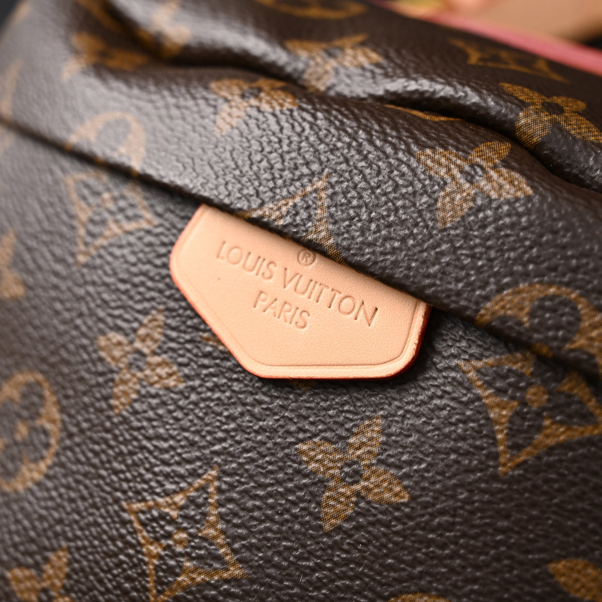 Louis Vuitton Bumbag – Monogram Canvas Waist & Crossbody Bag product image 8, provided for visual reference and product