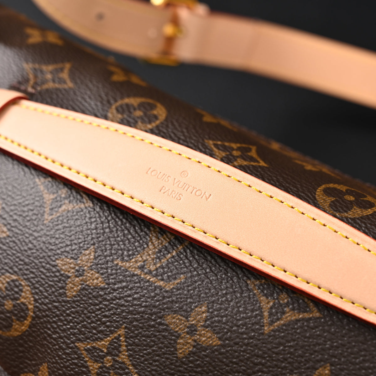 Louis Vuitton Bumbag – Monogram Canvas Waist & Crossbody Bag product image 9, provided for visual reference and product