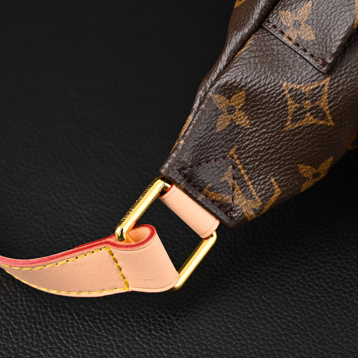 Louis Vuitton Bumbag – Monogram Canvas Waist & Crossbody Bag product image 10, provided for visual reference and product
