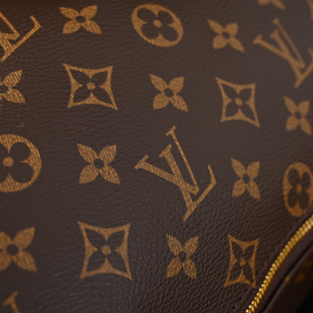 Louis Vuitton Bumbag – Monogram Canvas Waist & Crossbody Bag product image 19, provided for visual reference and product