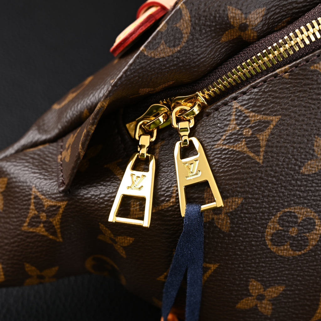 Louis Vuitton Bumbag – Monogram Canvas Waist & Crossbody Bag product image 3, provided for visual reference and product