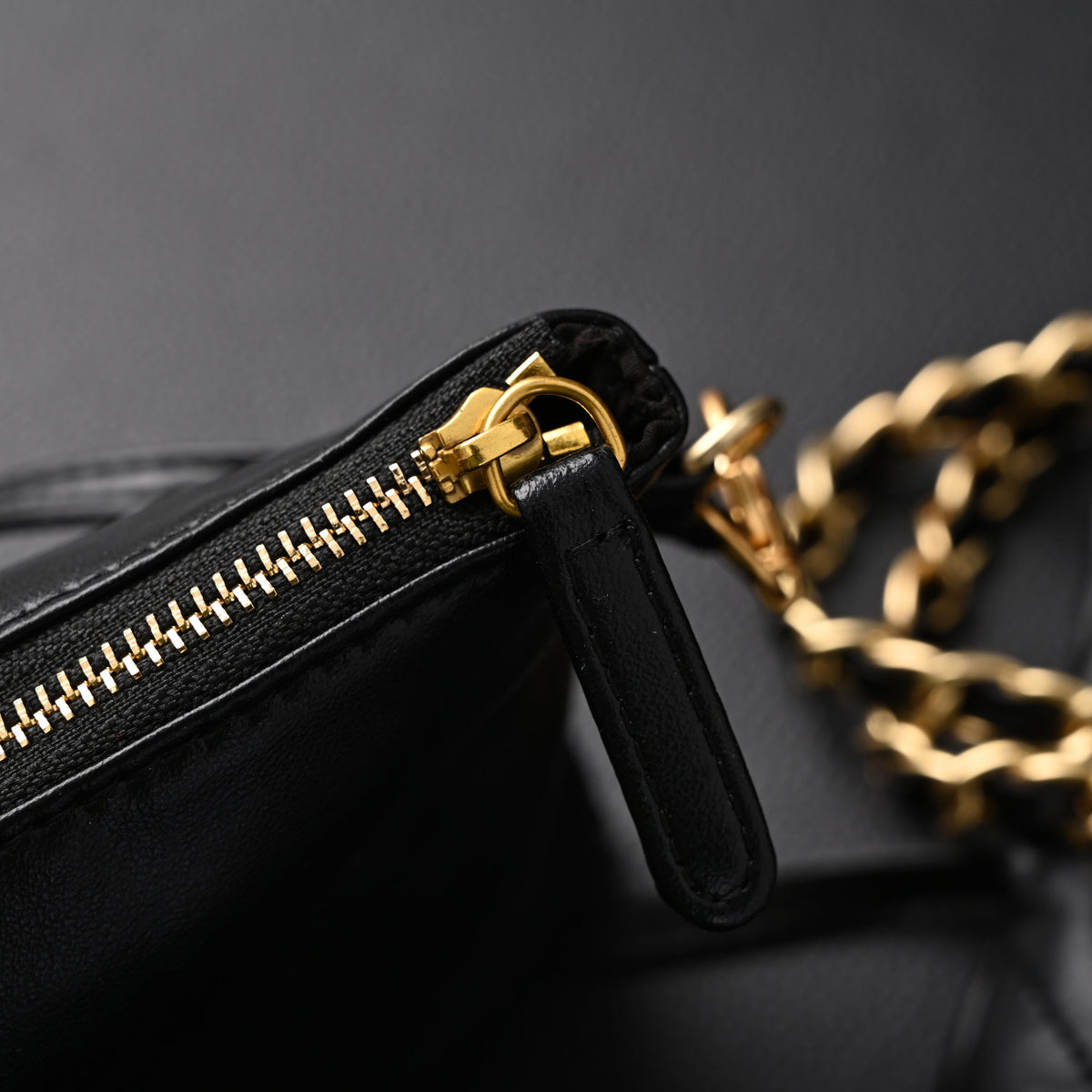 Chanel 19 Flap Bag – Black Quilted Lambskin with Gold & Ruthenium Hardware product image 20, provided for visual reference
