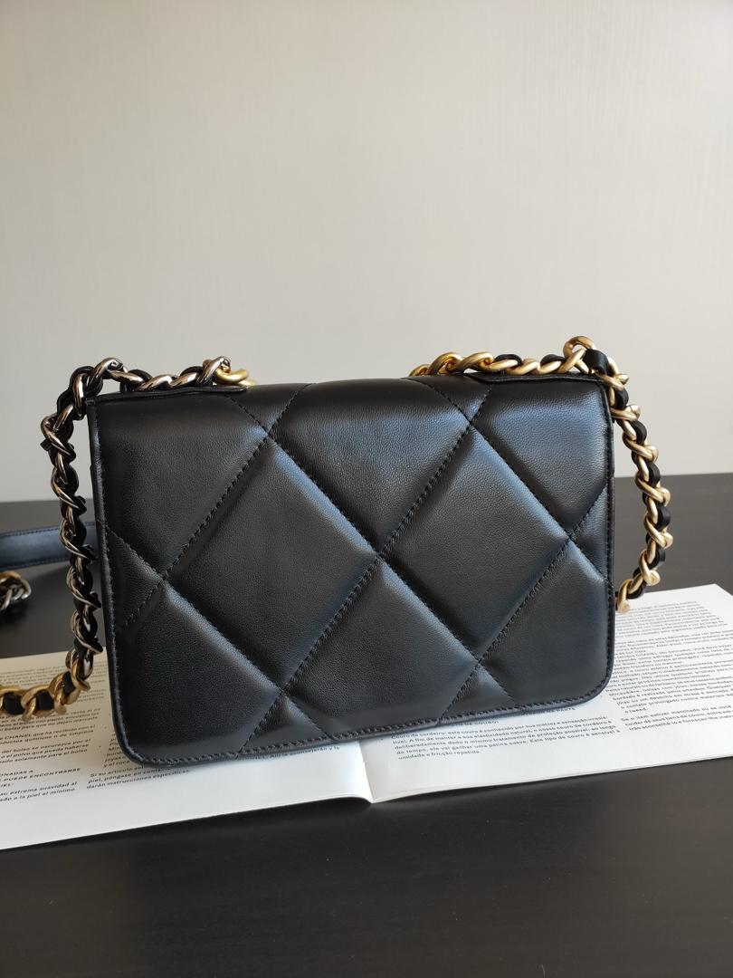 Chanel 19 Wallet On Chain WOC Bag product image 4, provided for visual reference and product detail review