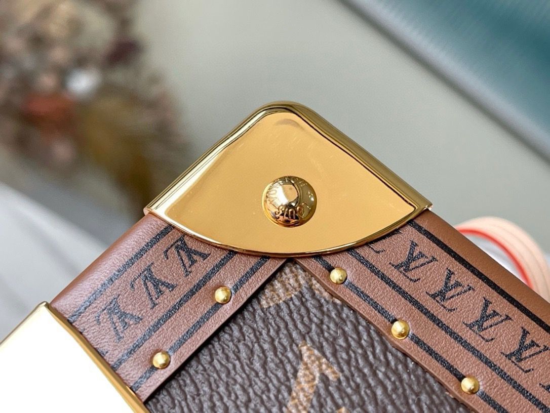 Louis Vuitton Monogram Box Bag product image 10, provided for visual reference and product detail review