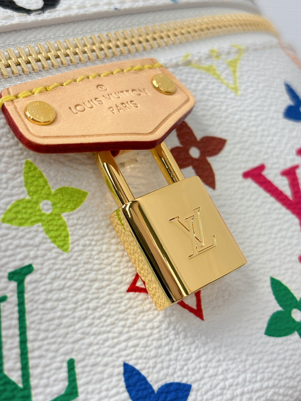LV x TM Vanity Chain Pouch - Multicolored product image 5, provided for visual reference and product detail review