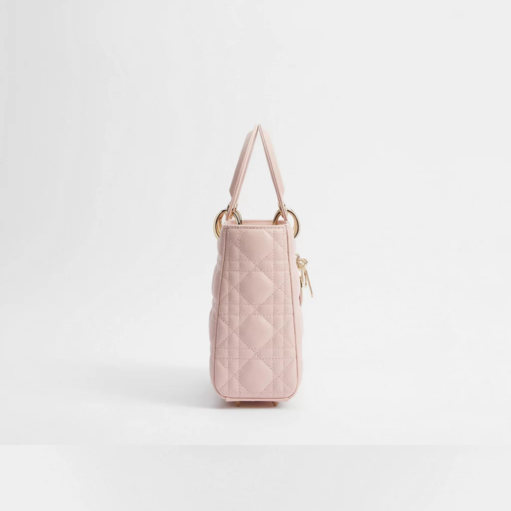 Dior Pink Lady Bag product image 5, provided for visual reference and product detail review