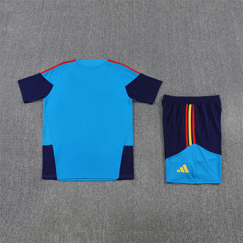 Spain Training Tracksuits 2026 Football Kit Soccer Shirt product image 3
