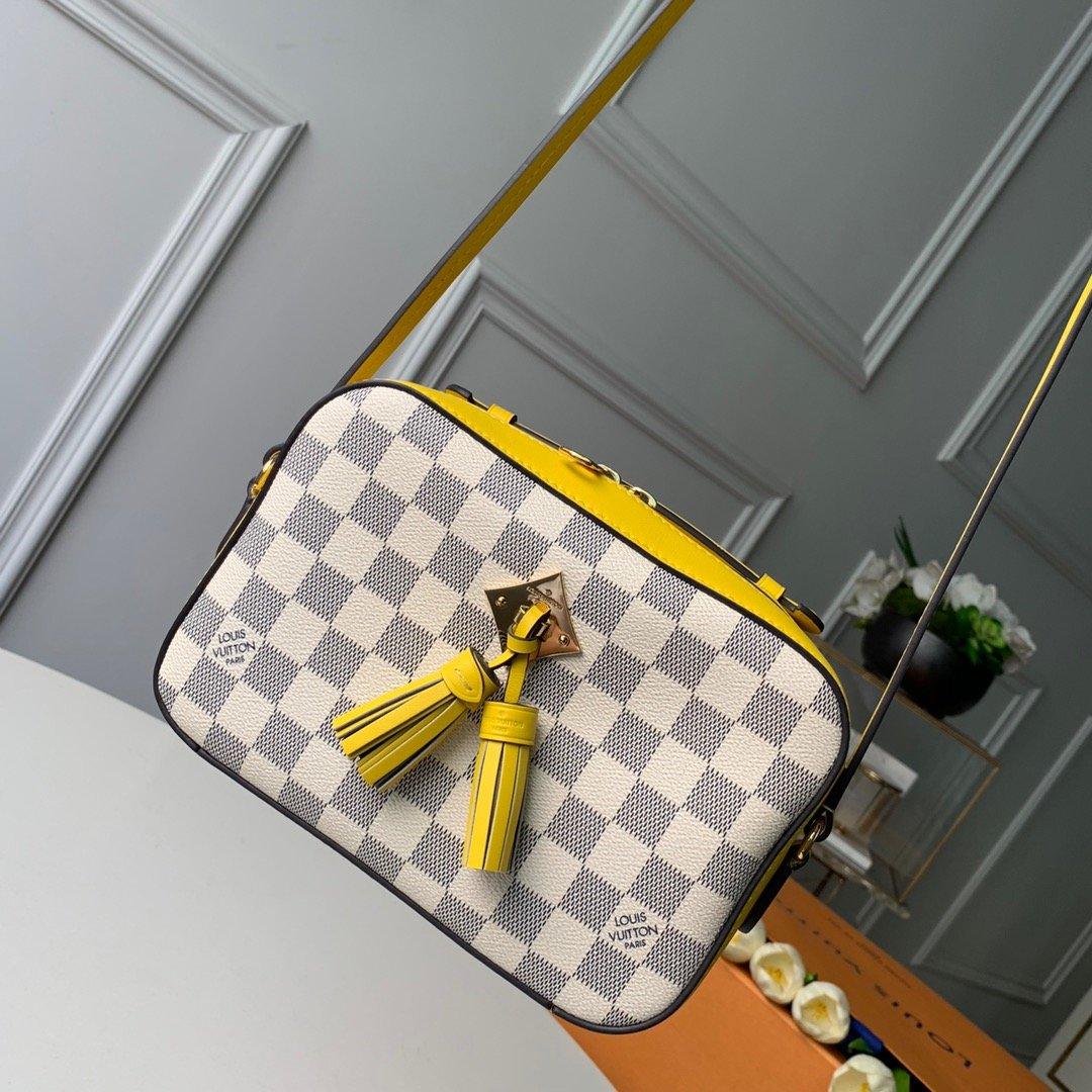 Louis Vuitton Bag product image 1, provided for visual reference and product detail review