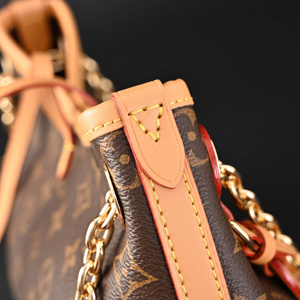 Louis Vuitton Carryall BB Monogram Canvas Shoulder Bag – Classic Brown (M13014) product image 12, provided for visual