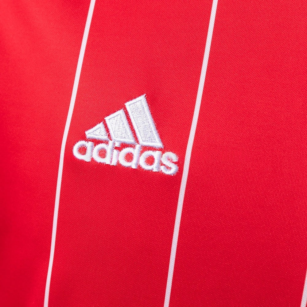 Wales Jersey 2015 Home Retro Football Kit product image 4