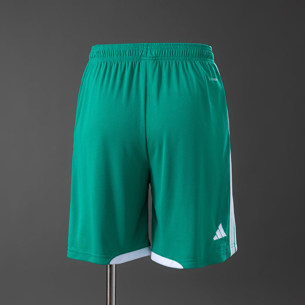 Northern Ireland Home Shorts 2026 Football Kit Soccer product image 2